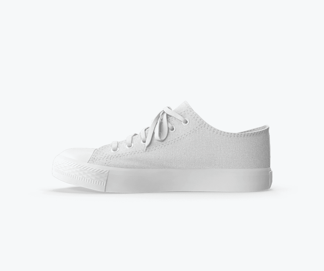 Canvas Shoes
