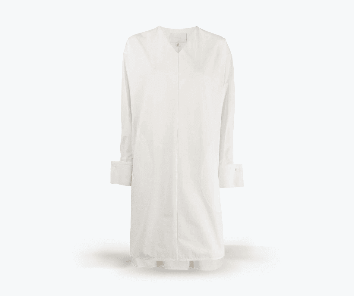 Long Blouse